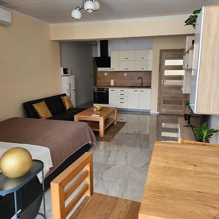 Studio Apartman Borlin 卡尔洛瓦茨 外观 照片
