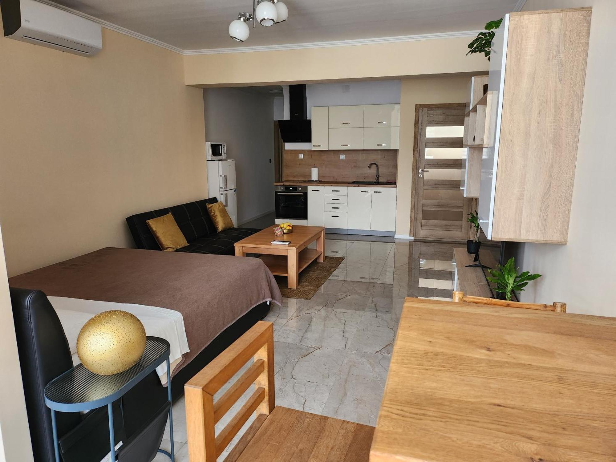Studio Apartman Borlin 卡尔洛瓦茨 外观 照片